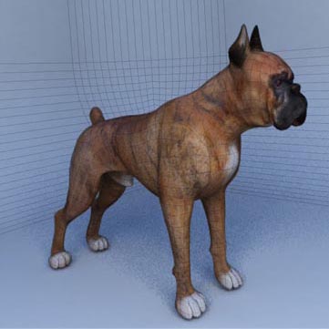 modélisation 3D chien